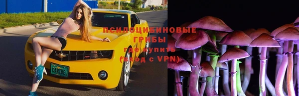 mdpv Липки