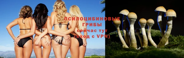 стаф Майский