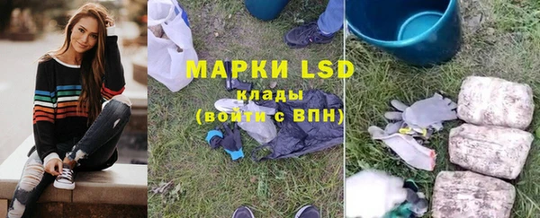 стаф Майский