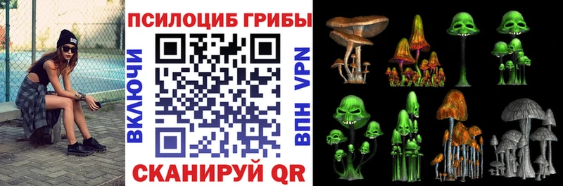 Псилоцибиновые грибы Psilocybine cubensis  Красноперекопск 