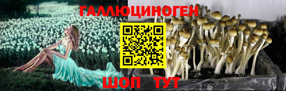Галлюциногенные грибы мицелий Красноперекопск
