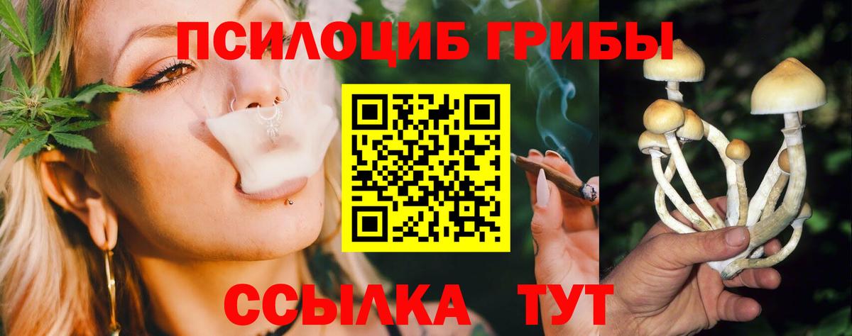 Галлюциногенные грибы GOLDEN TEACHER  Вход с VPN  Красноперекопск 